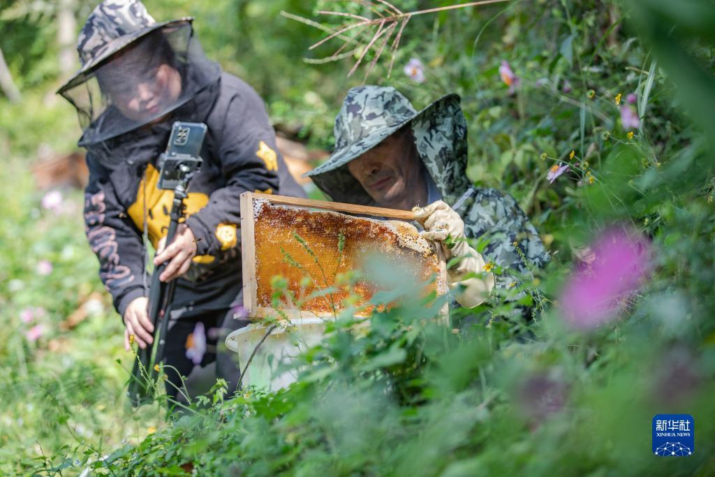 600万娱乐永诚计划揭秘是什么